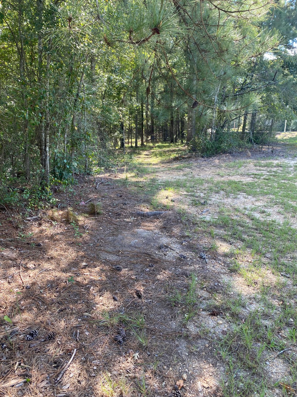 Hole 1