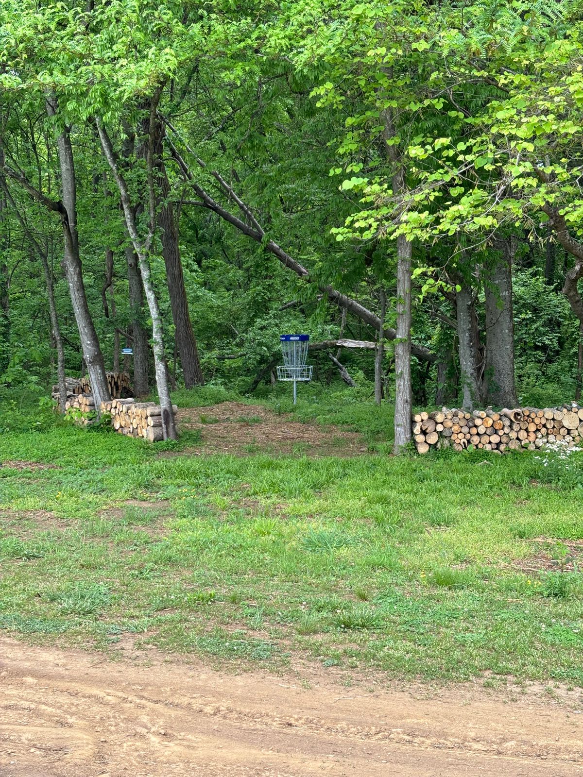 Hole 7