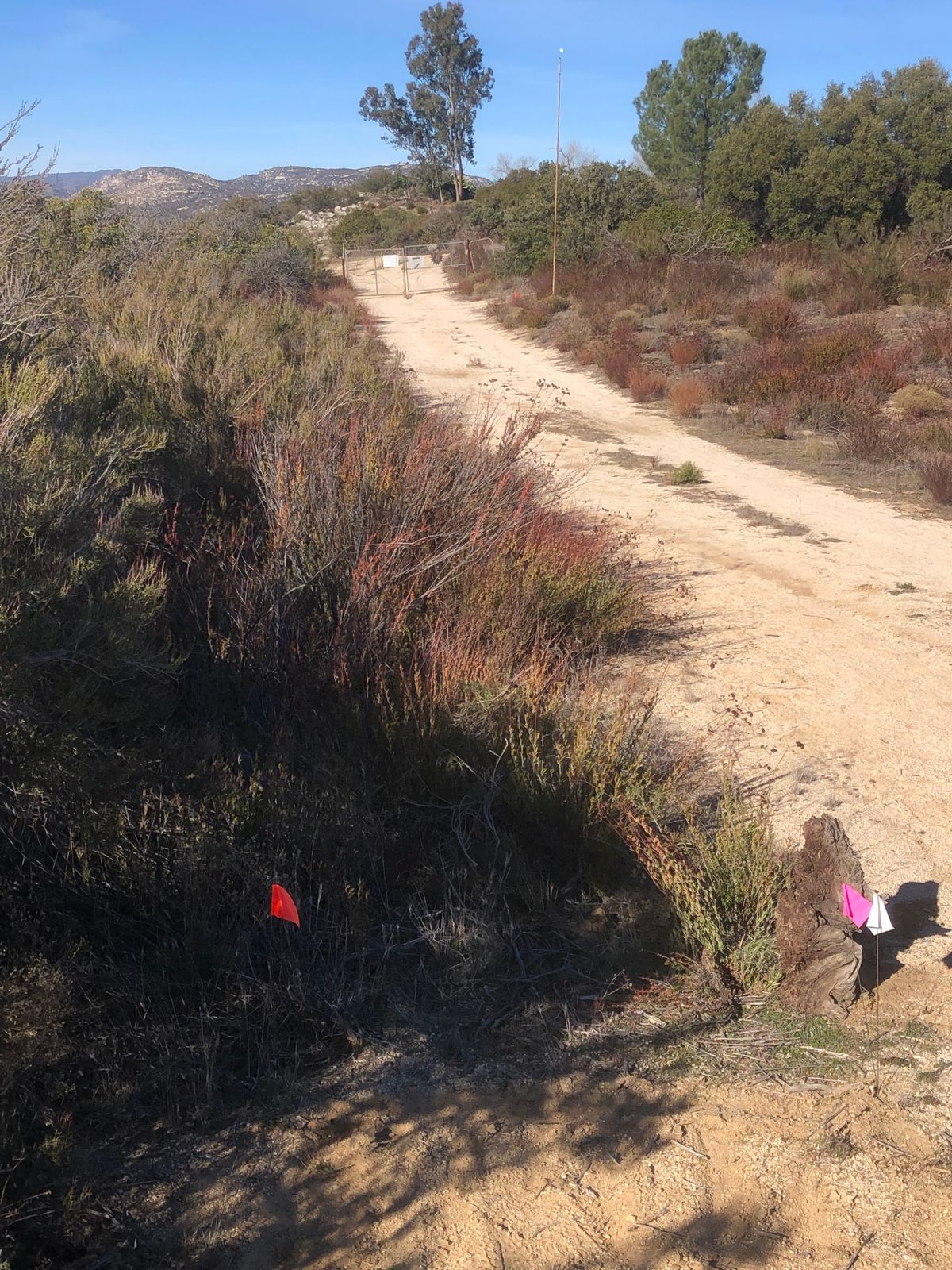Hole 9