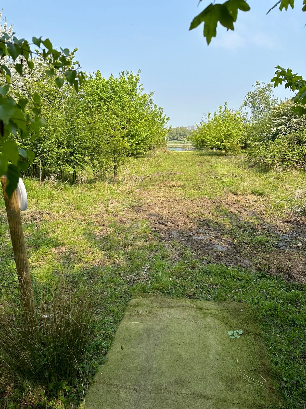 Blind drive and view to hole 8 basket
