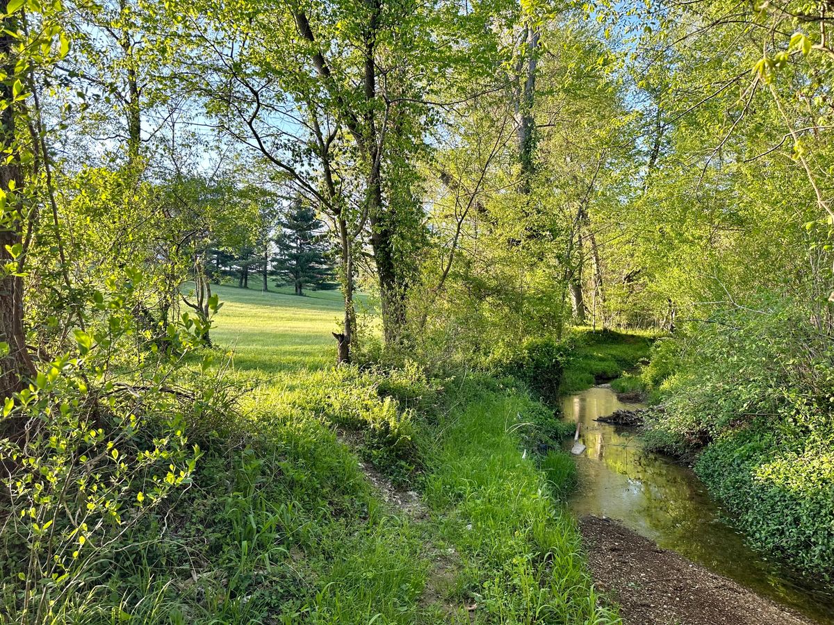 Hole 7 from the tee looking at both routes.
