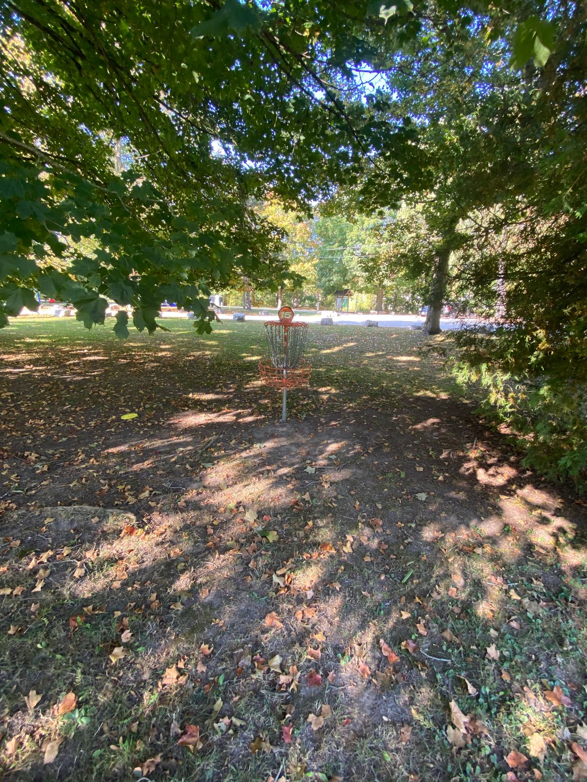 Hole 15’s basket