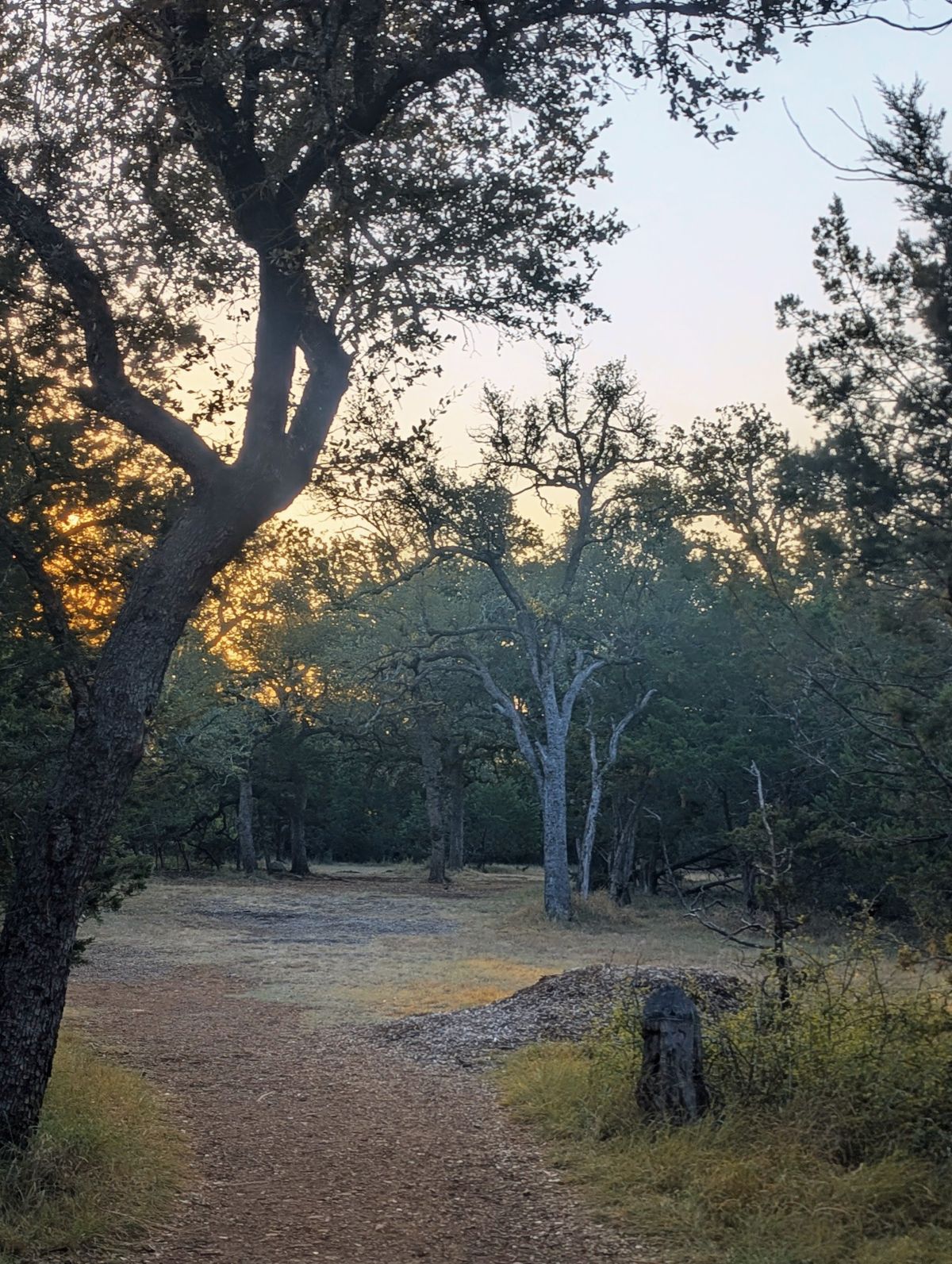 Hole 3 from tee