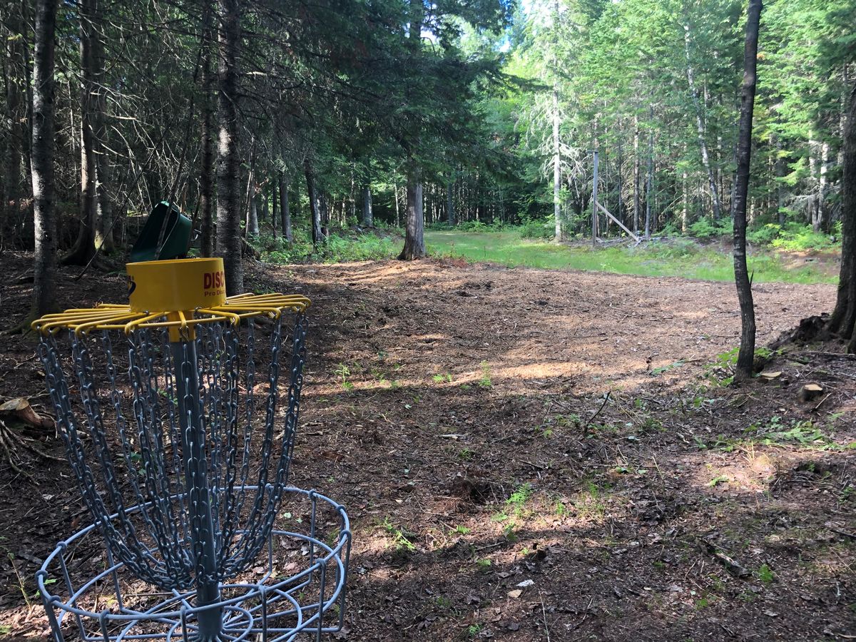 Hole #13 Basket