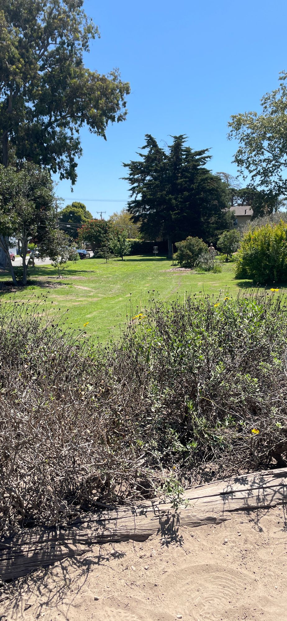 Hole 7