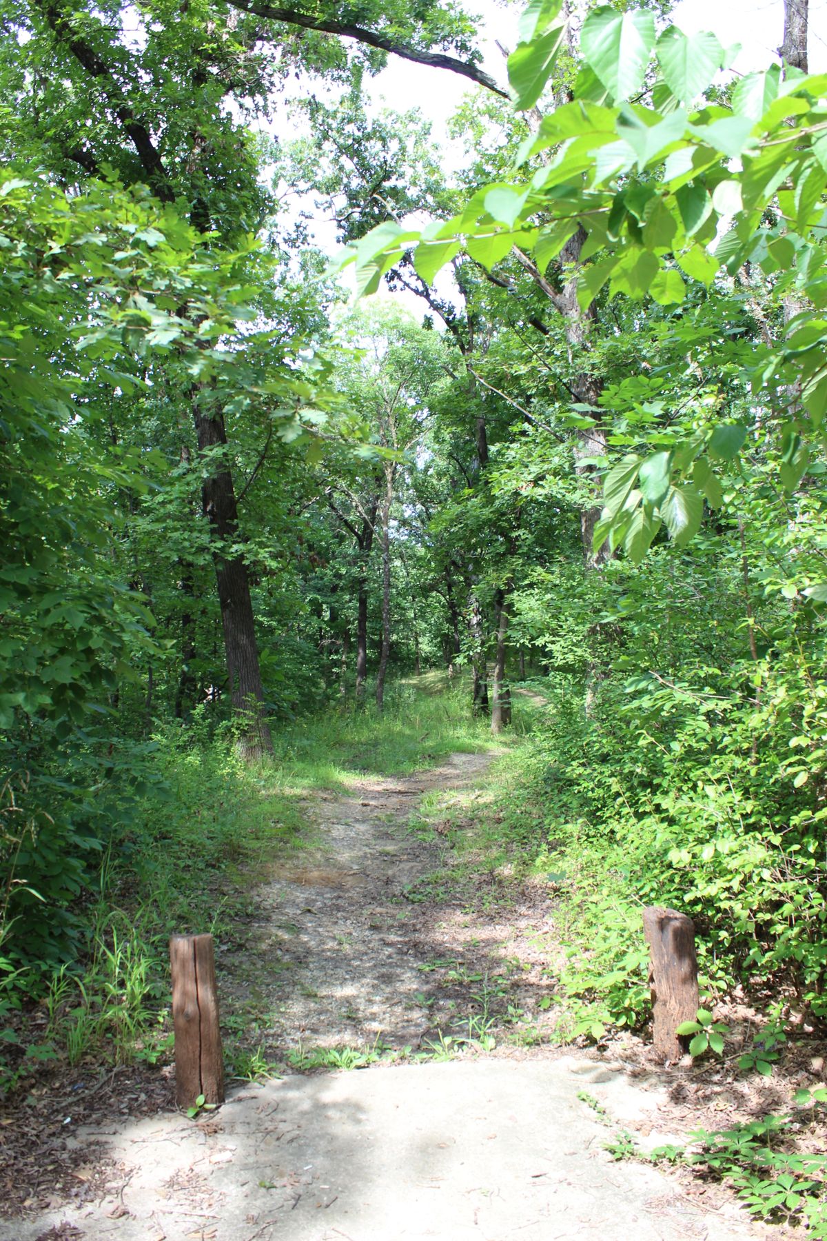 Hole 12 (Tee)