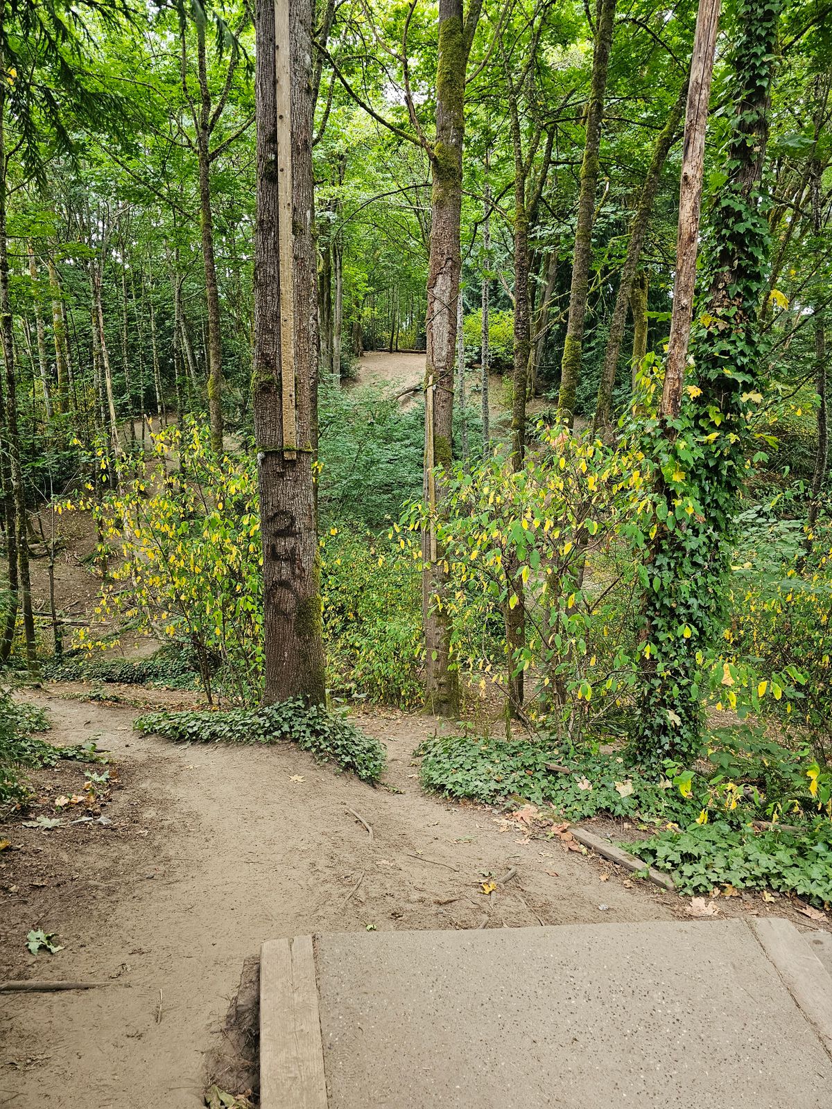 Hole 3. Throwing across the dell.