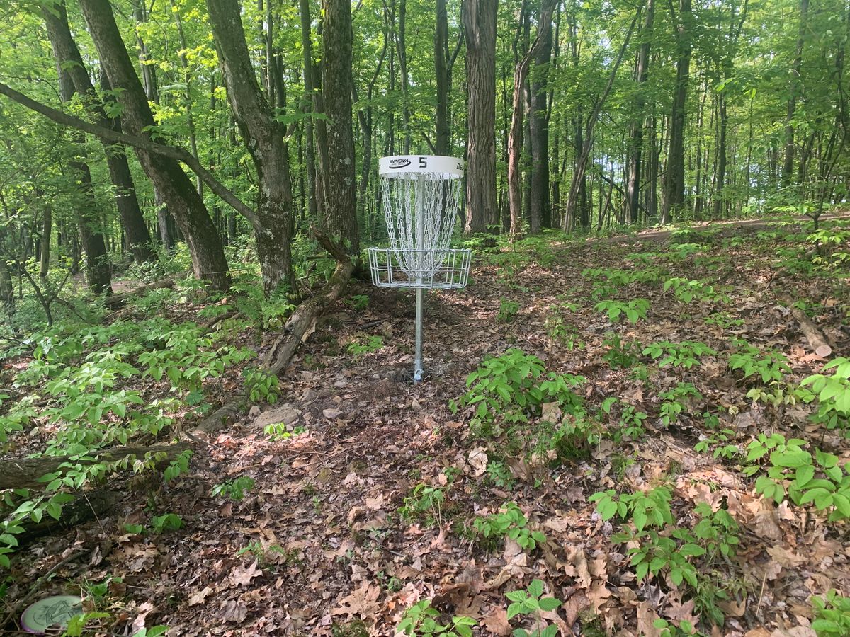 Hole 6