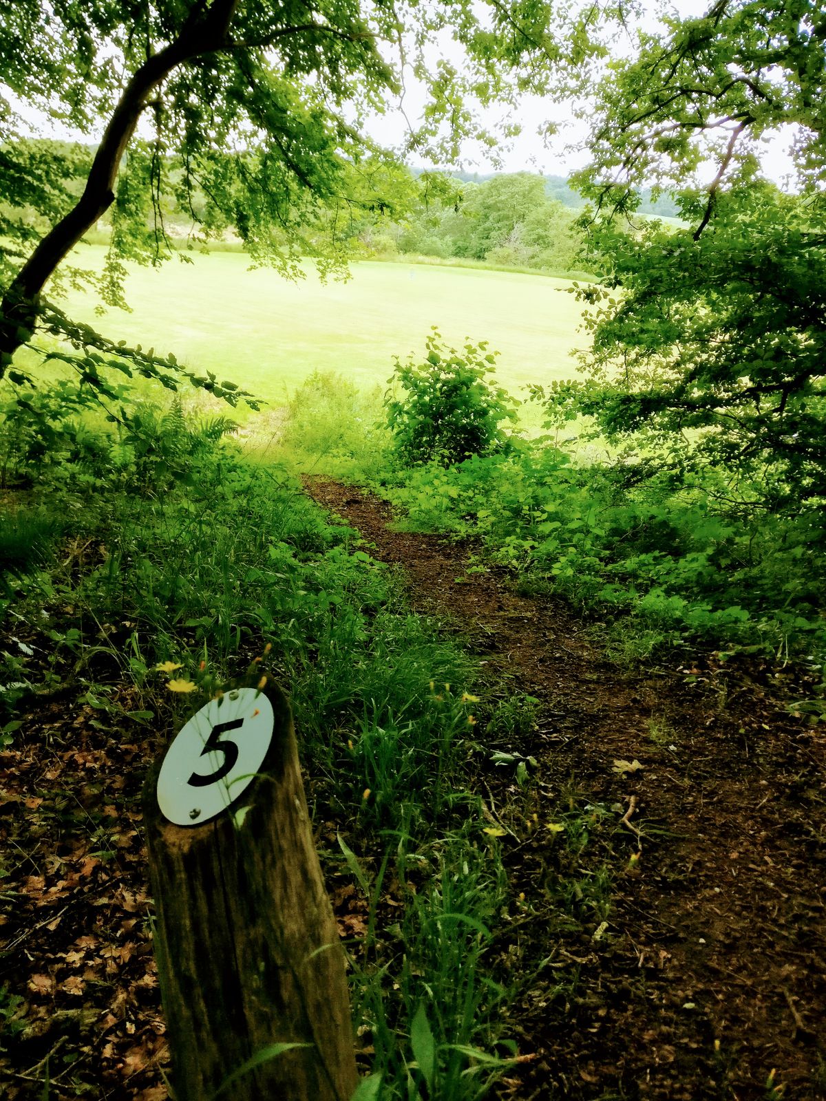 Hole 5