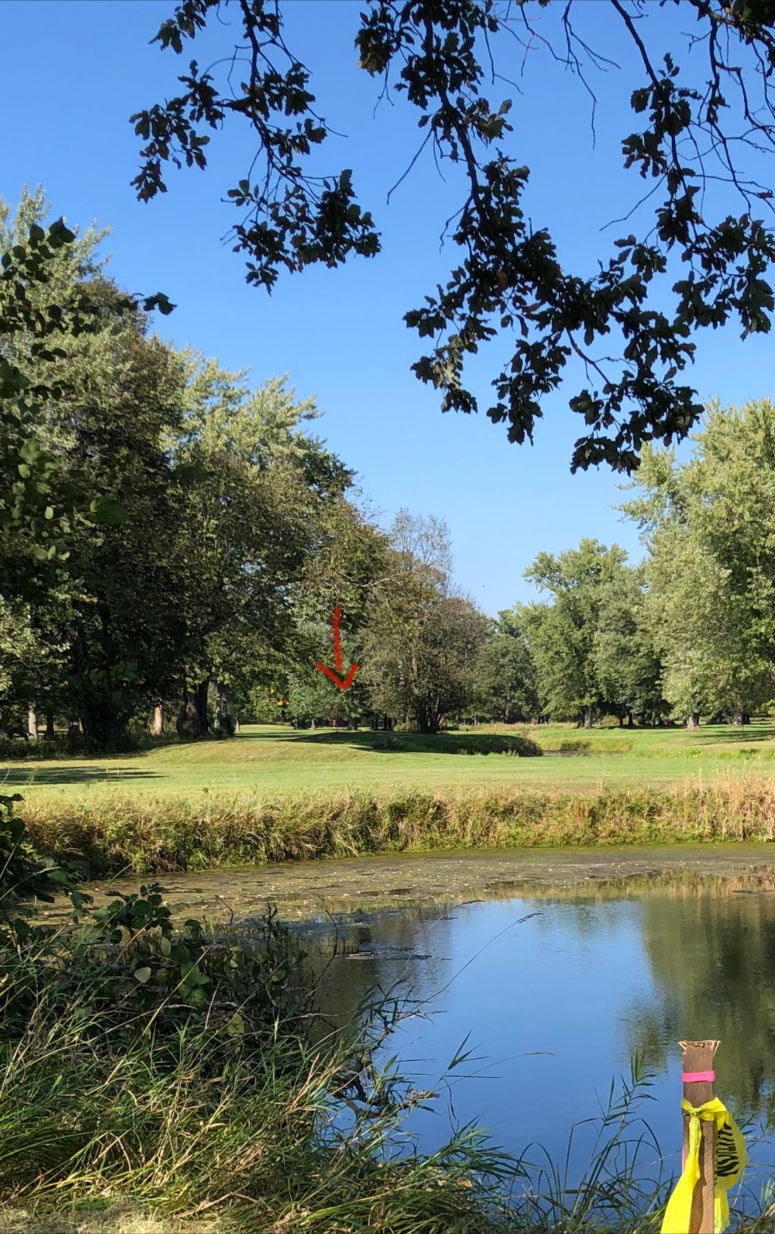 Hole #13 Tee pad
