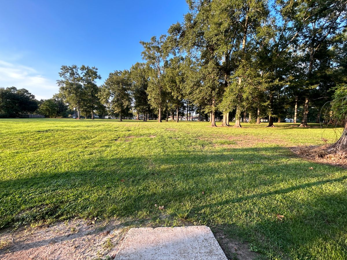 Hole 12 Fairway