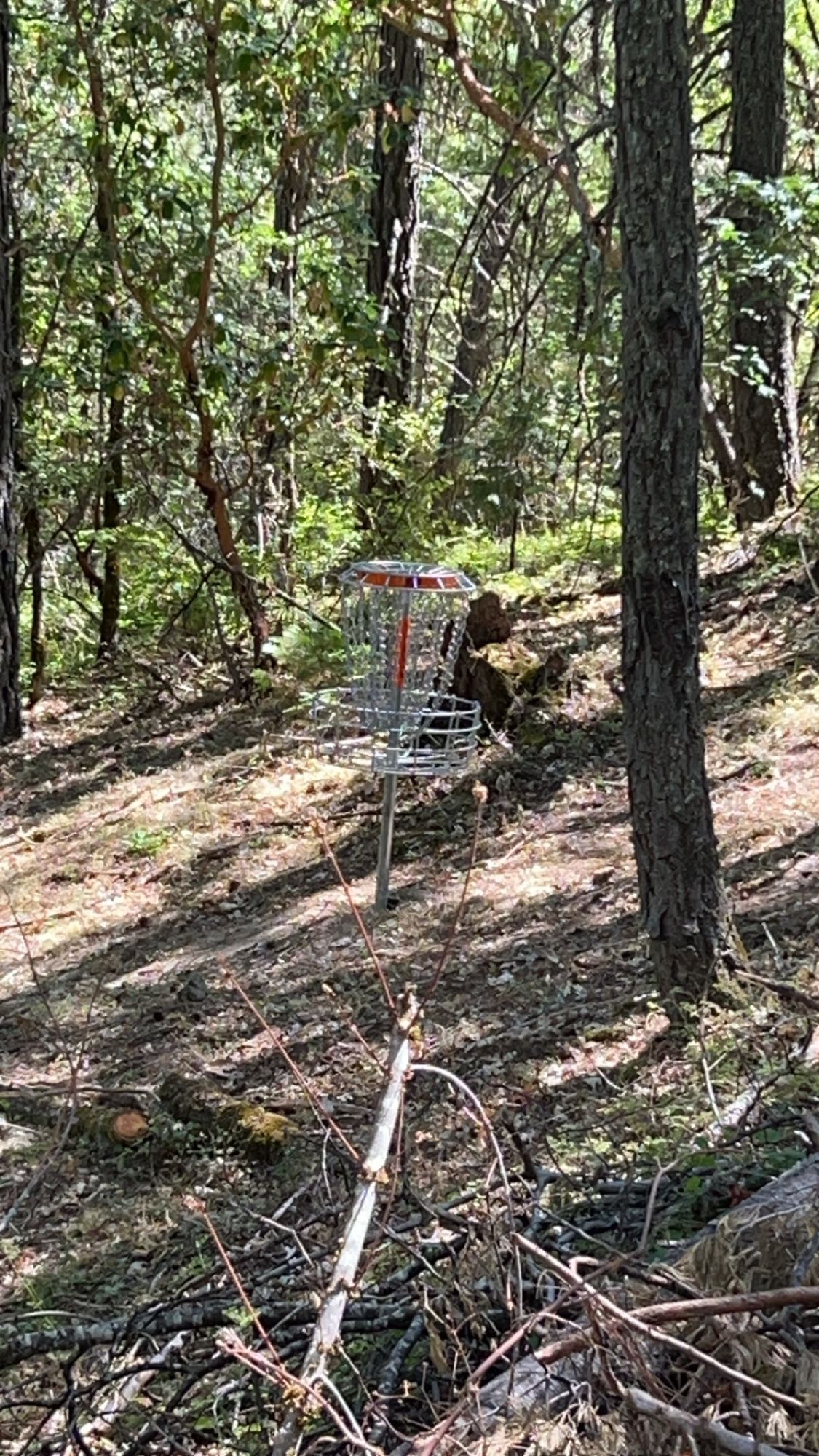 Hole 13