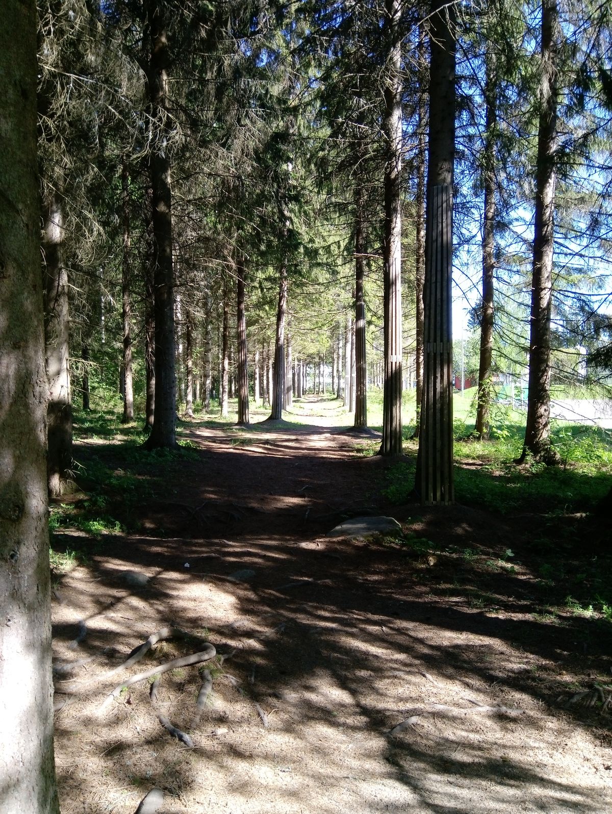 Väylä #12 (30.5.2021).