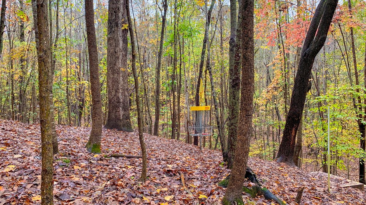 Hole 4 231’