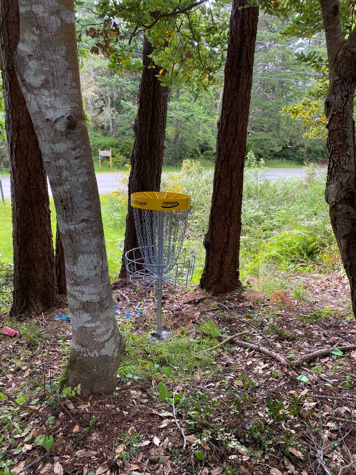 Hole 5 Basket