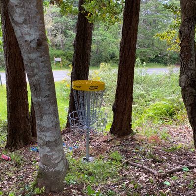 Hole 5 Basket