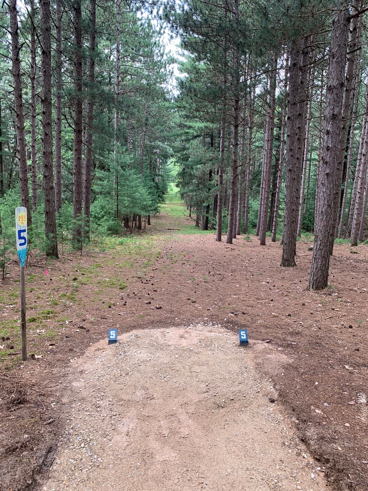 5 - Long tee