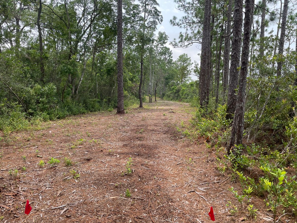 Hole 7 tee