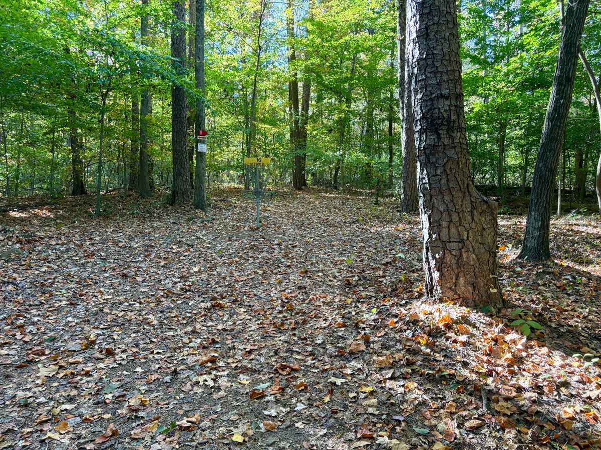 Hole 16 approach