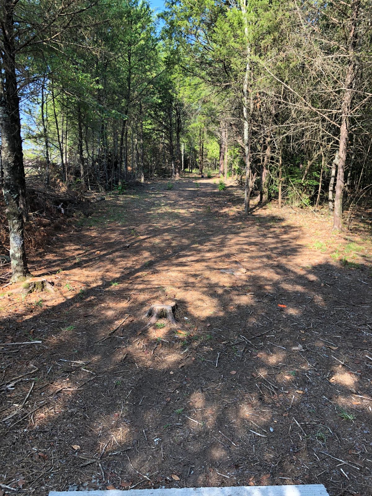 Hole 4