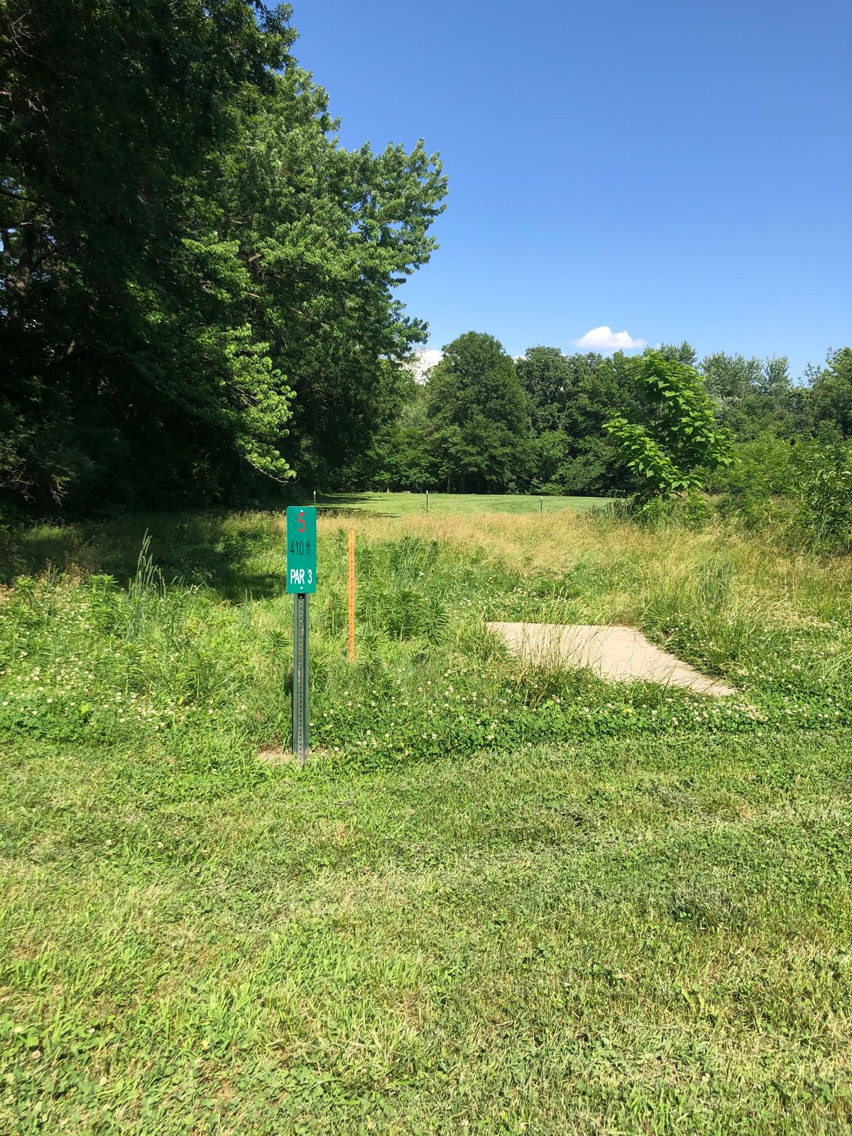 Hole 5 Tee Box