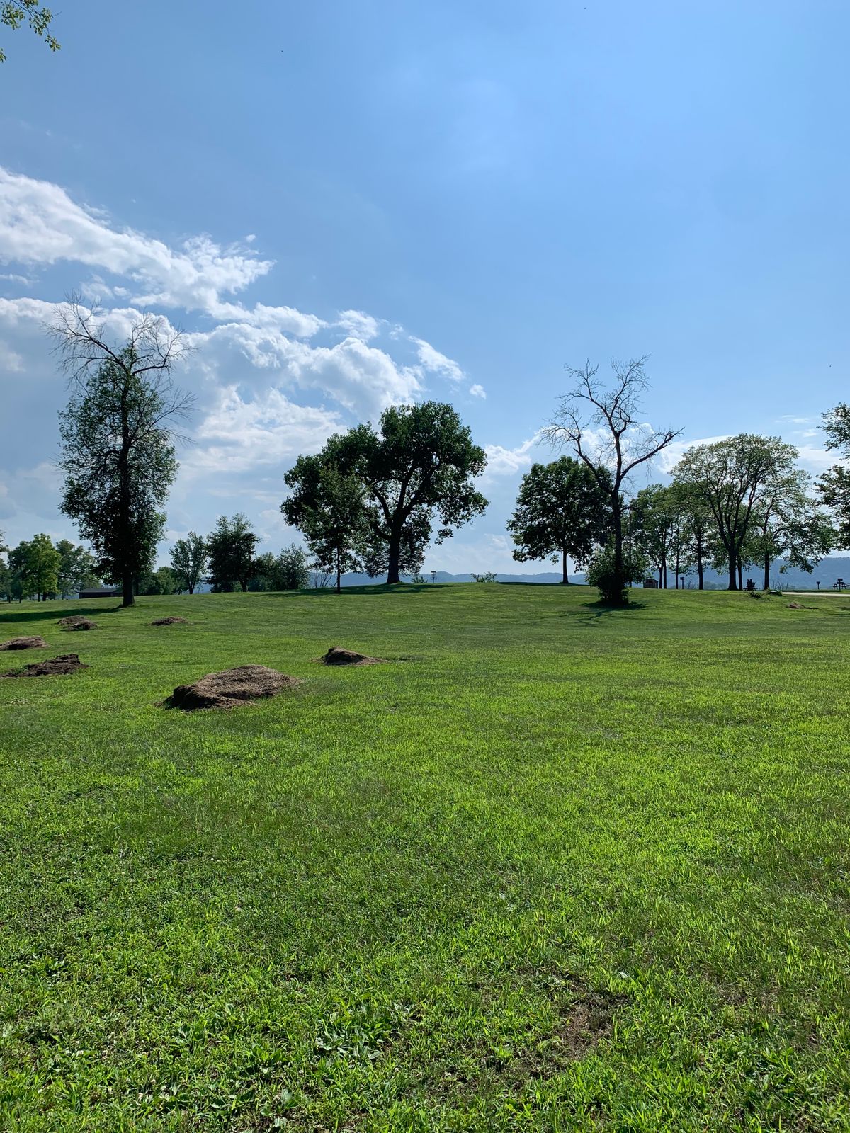 Hole 1 tee