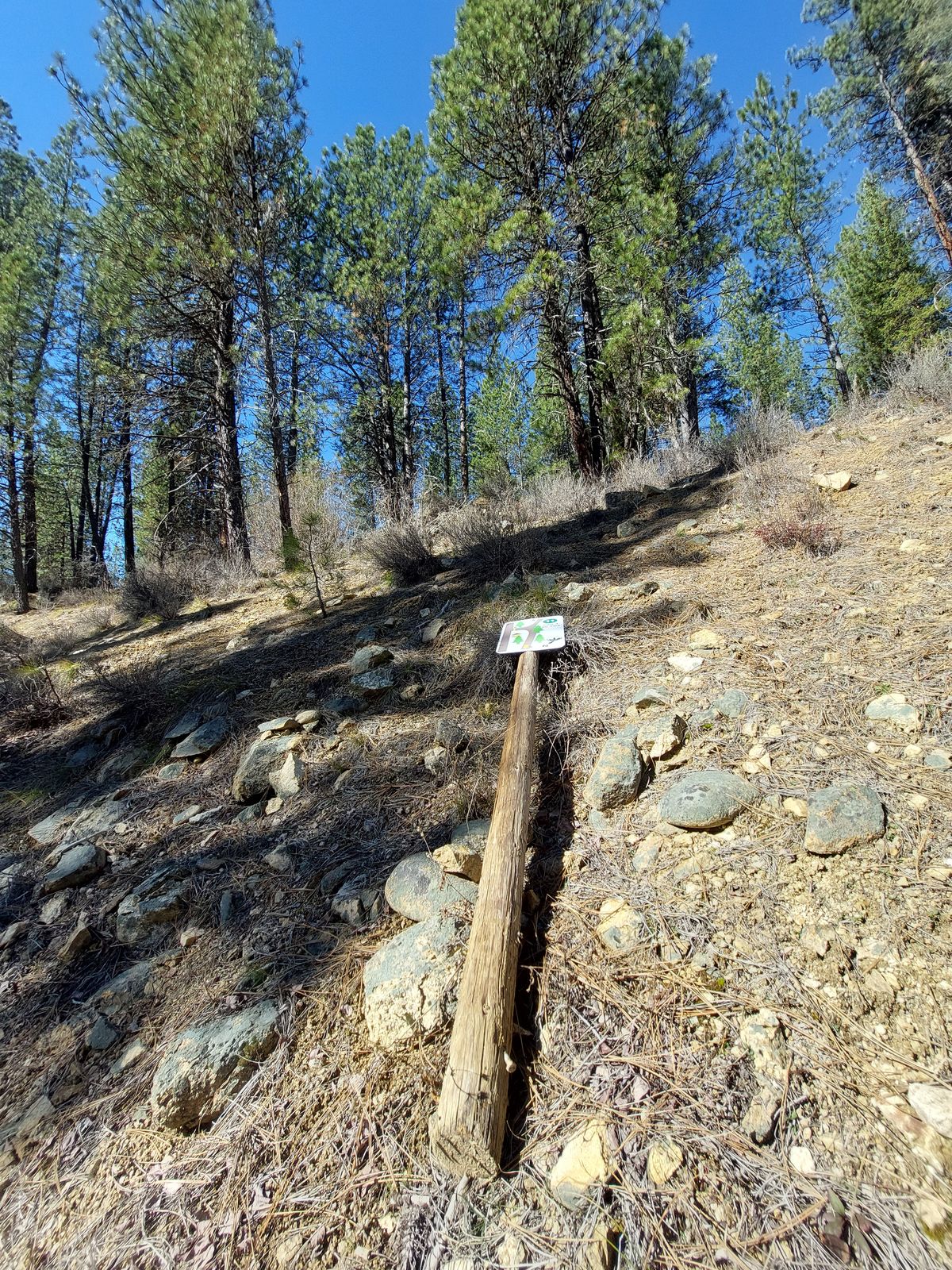 We're Confused Where The Basket Is On Hole 11.....j/k