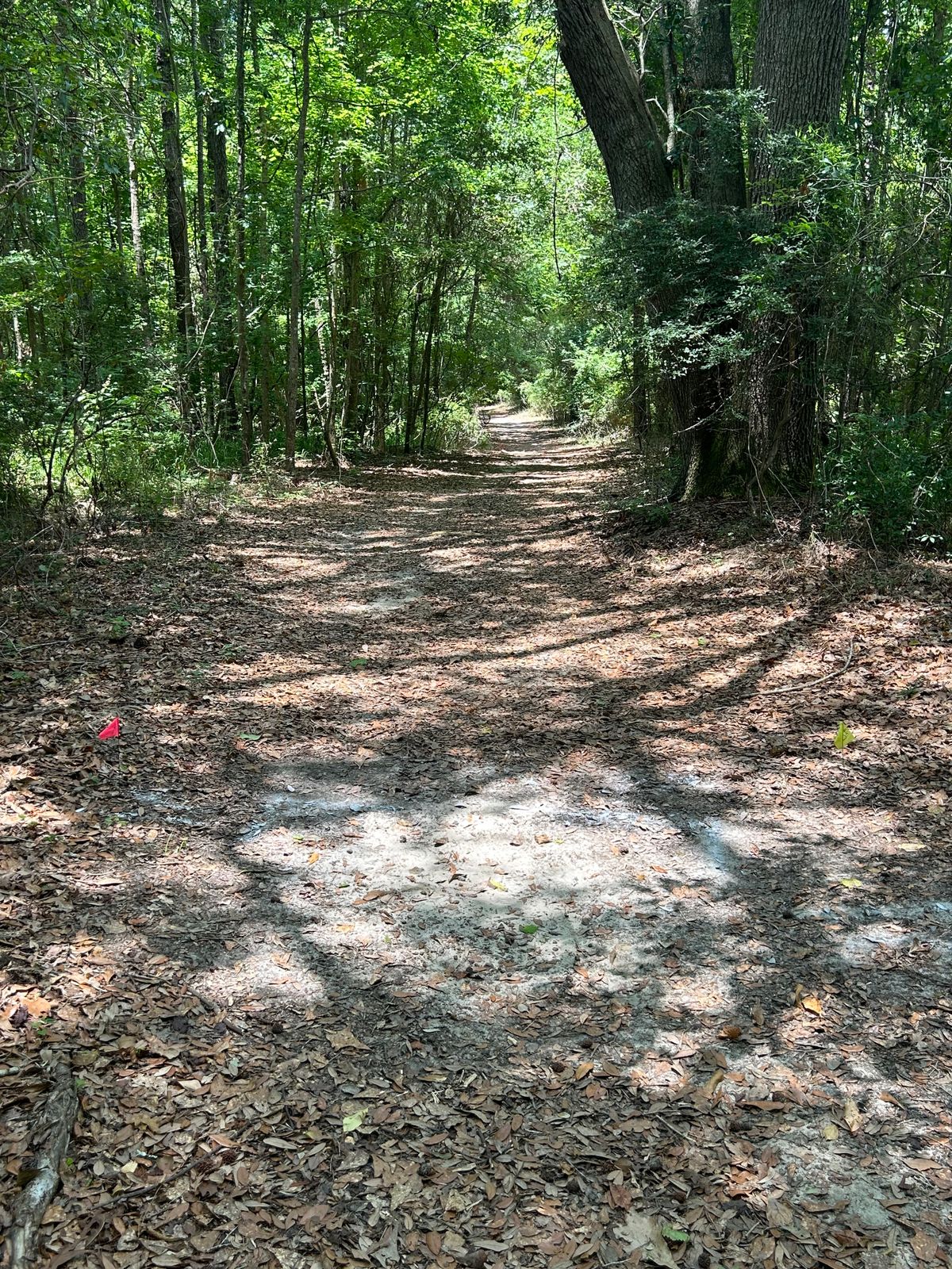 Hole 10 tee pad flags are marking the location walk past 12 and into the woods to get two number 10