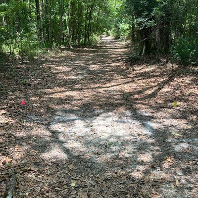 Hole 10 tee pad flags are marking the location walk past 12 and into the woods to get two number 10