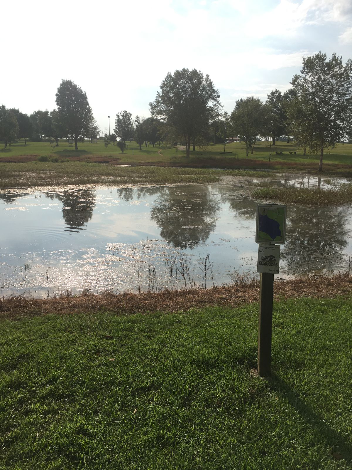 Hole 3 tee