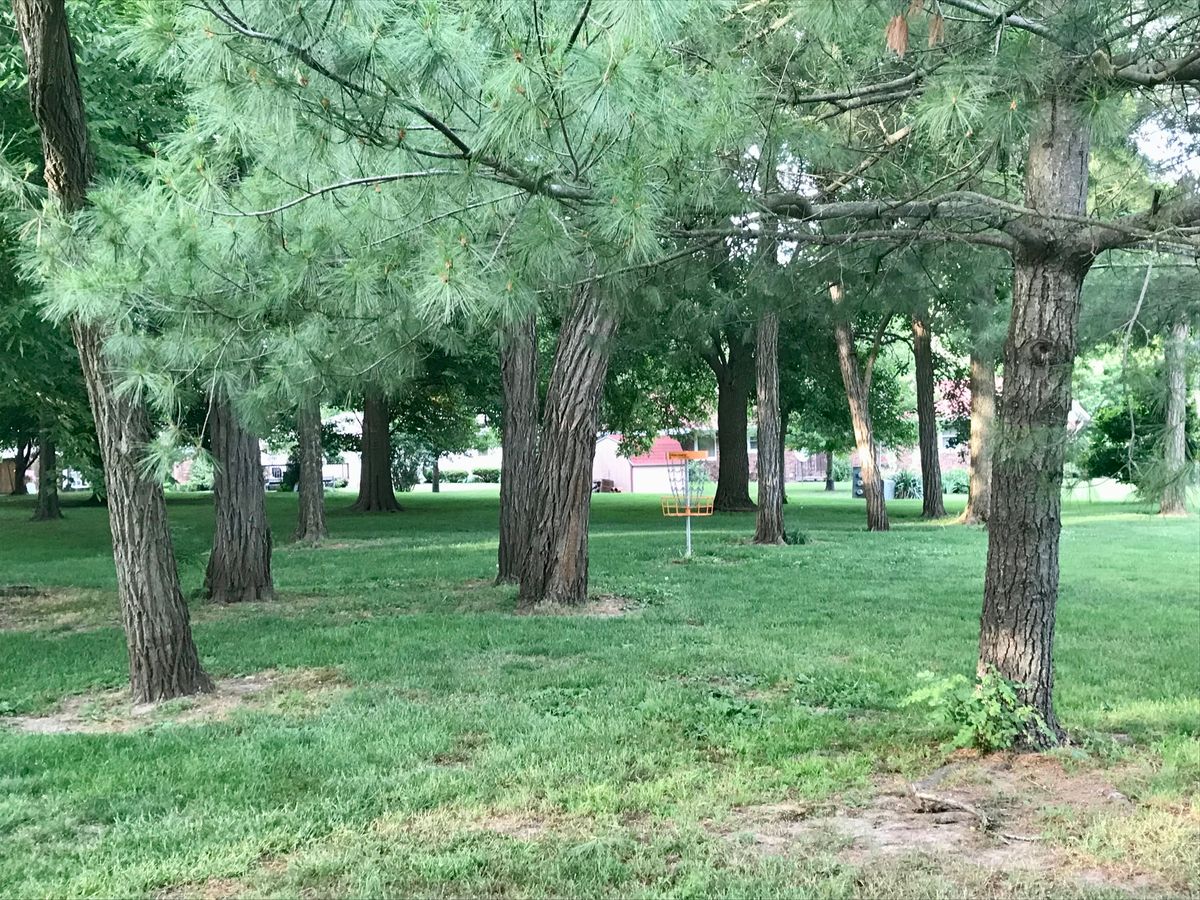 Hole 7 at trees edge