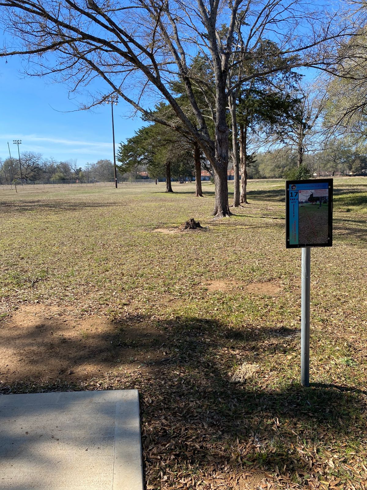 Hole 17, 472ft, OB ball fields, edge of park property (tall grass)