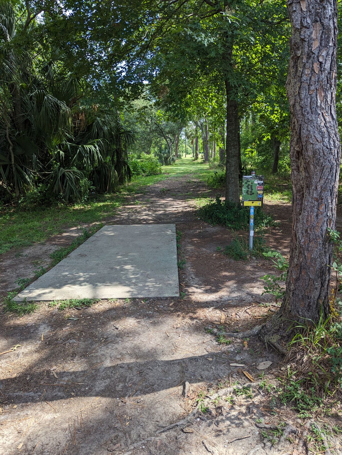 17th tee to elevated basket