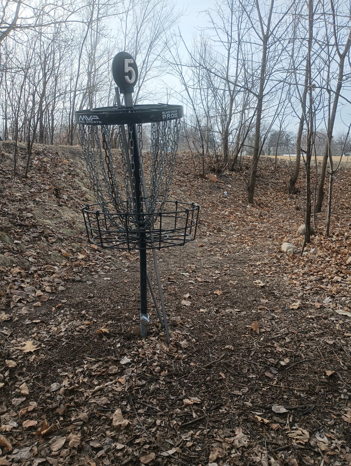 Hole five basket