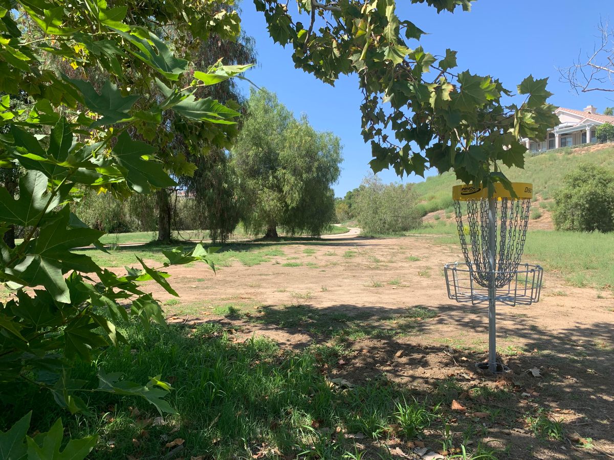 Omega Hole 15 Basket