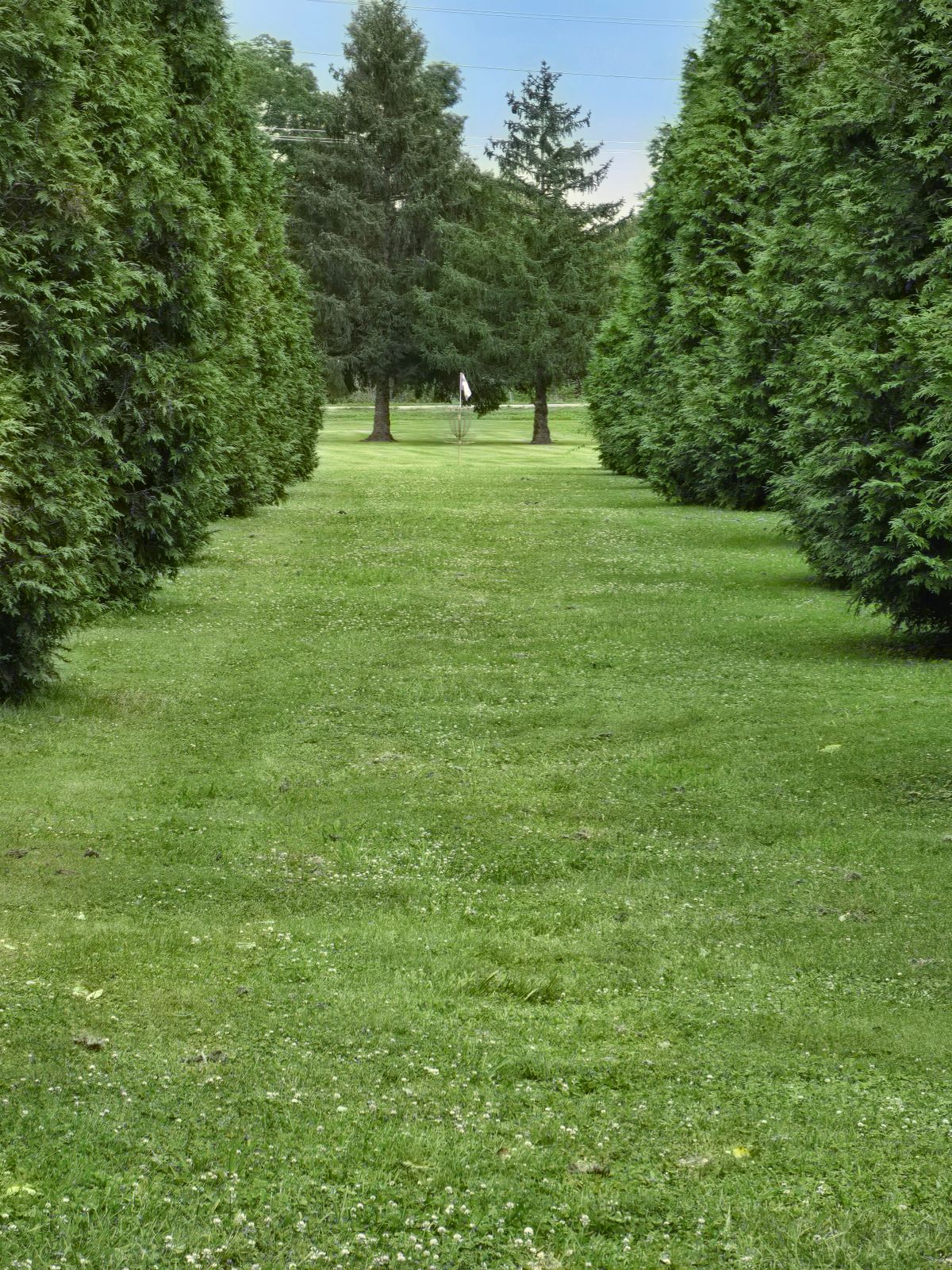 Hole 1