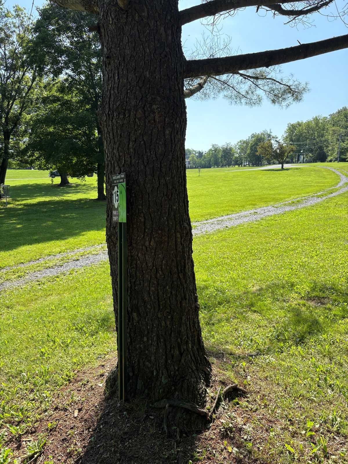15th tee