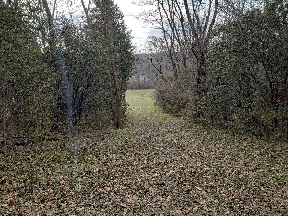 Hole 7