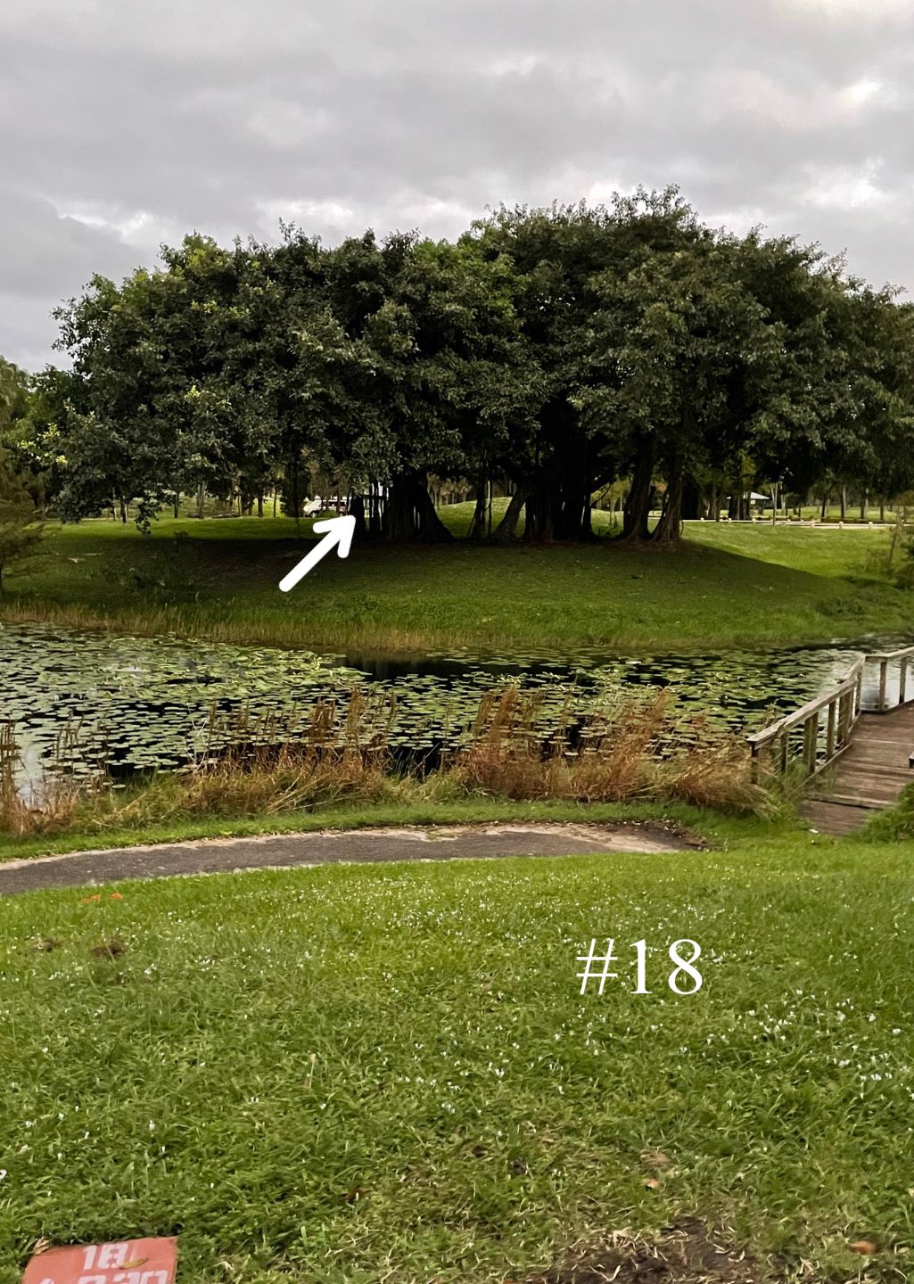 Hole 18, Short Tee