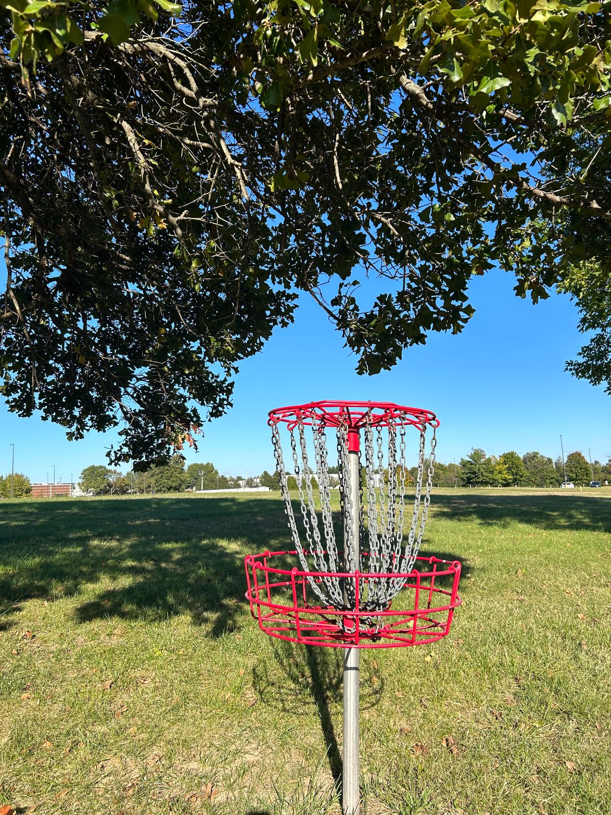 Hole #1 from the basket.
