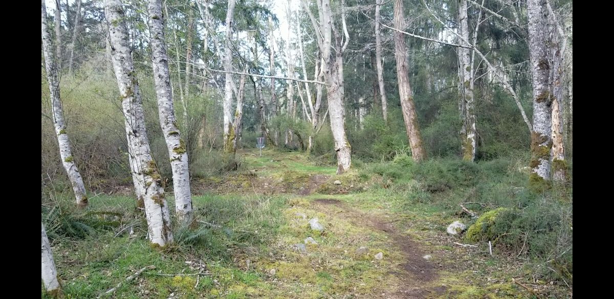 Hole 1 2023