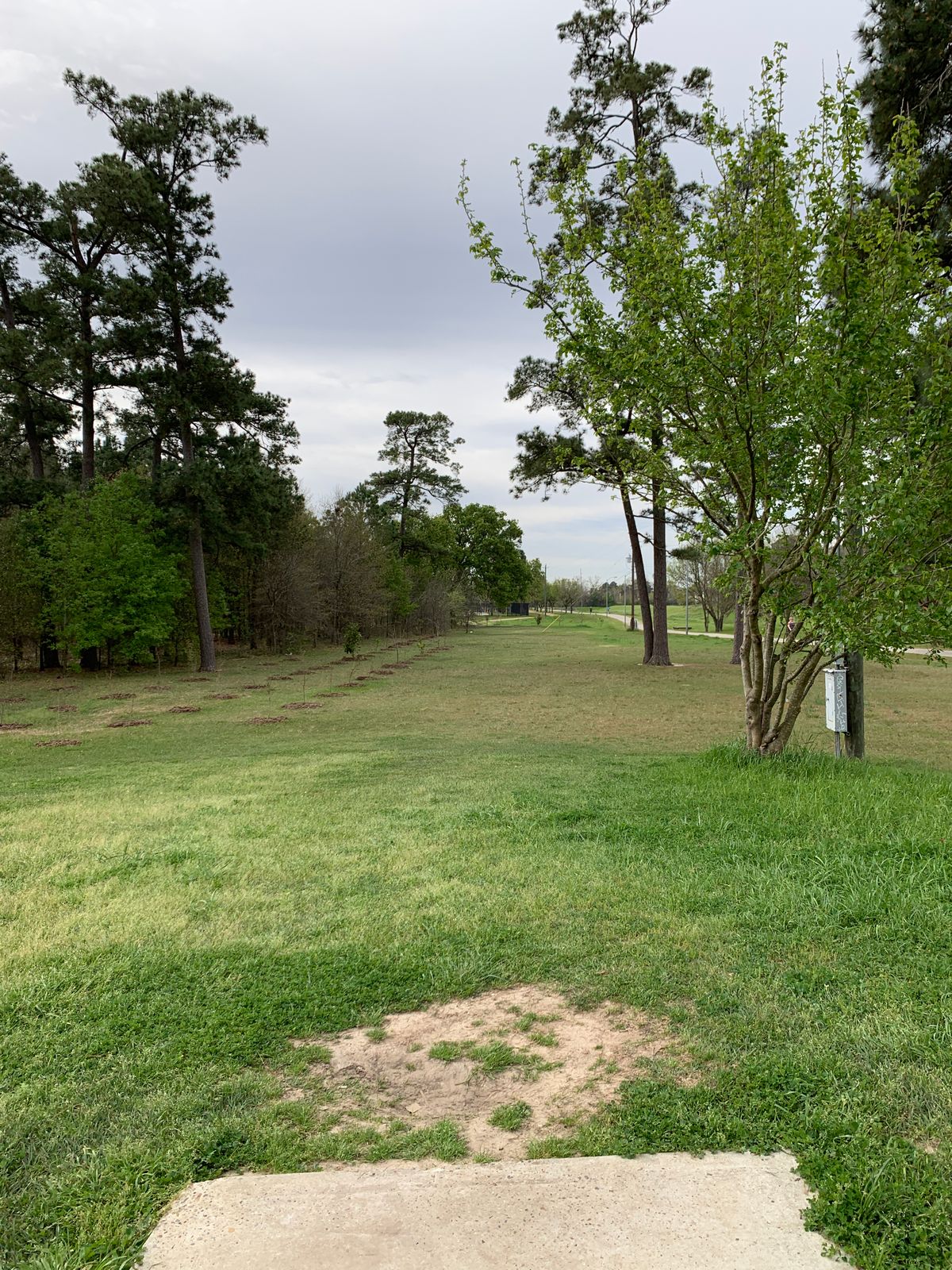 Hole 13