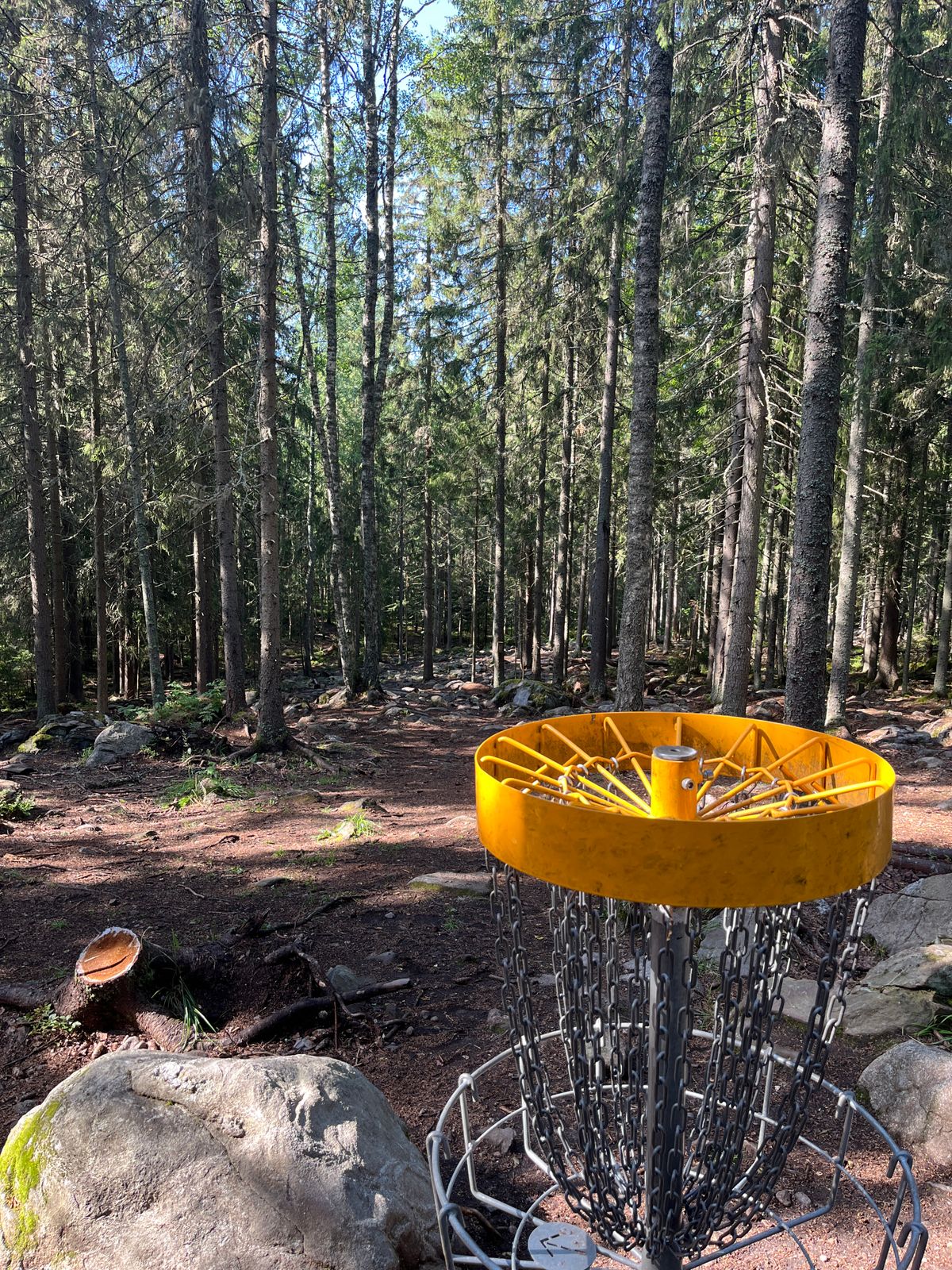Hole 9, basket to fairway