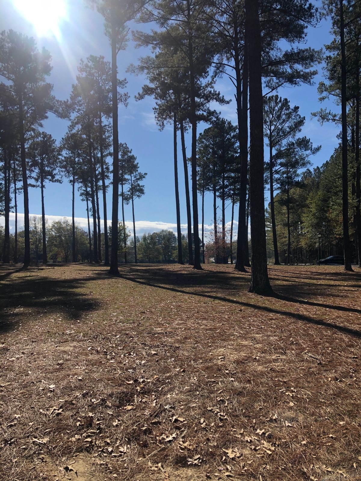 Hole 5