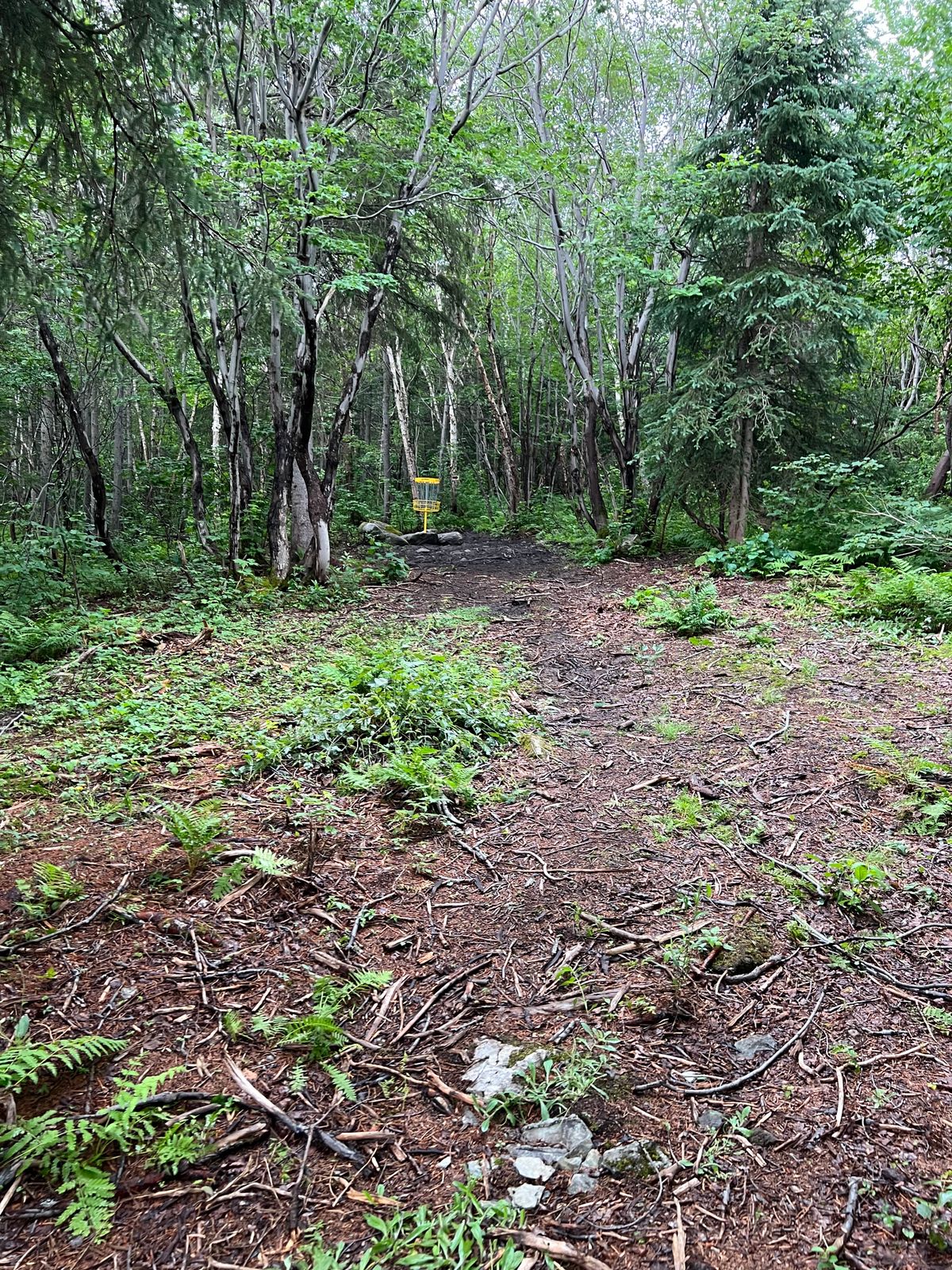 Hole 7 Fairway