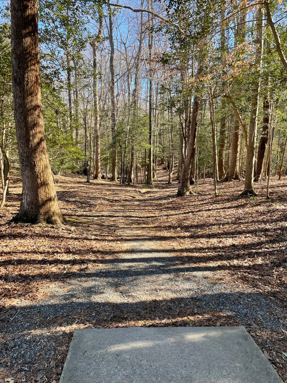 Fairway 4
