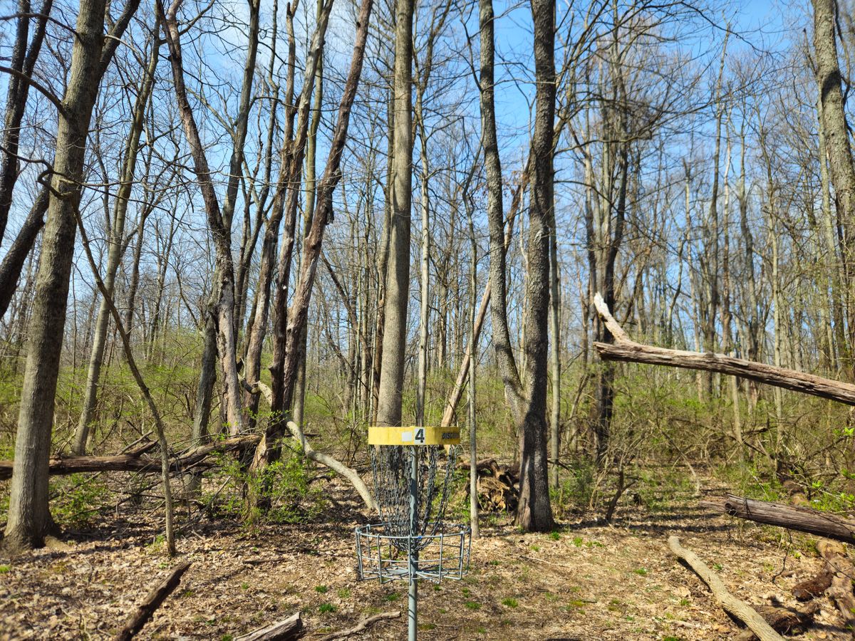 Hole 4