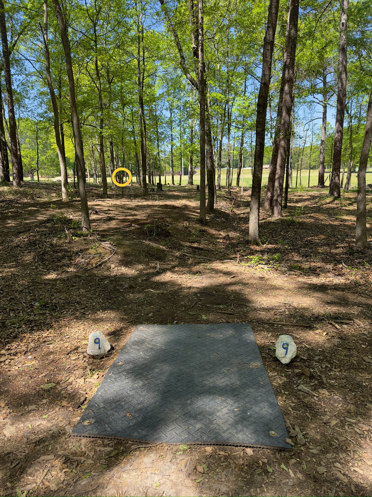 Hole 9 tee