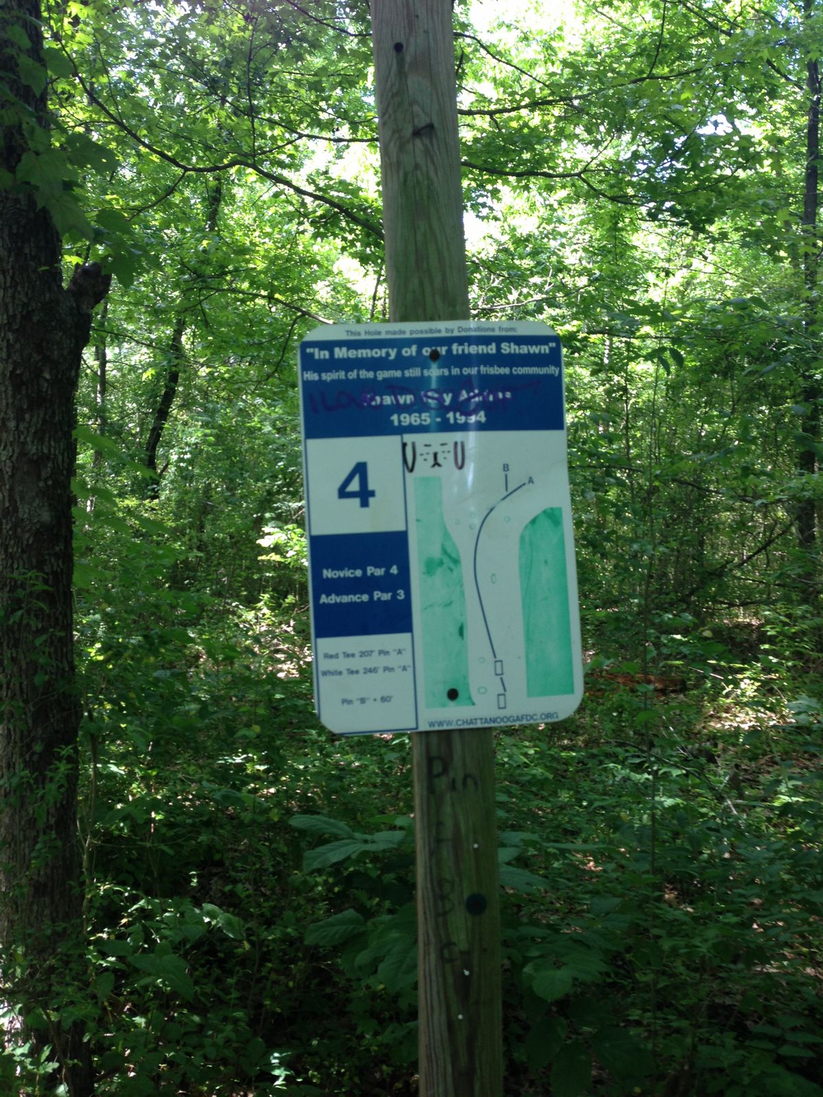 Hole 4