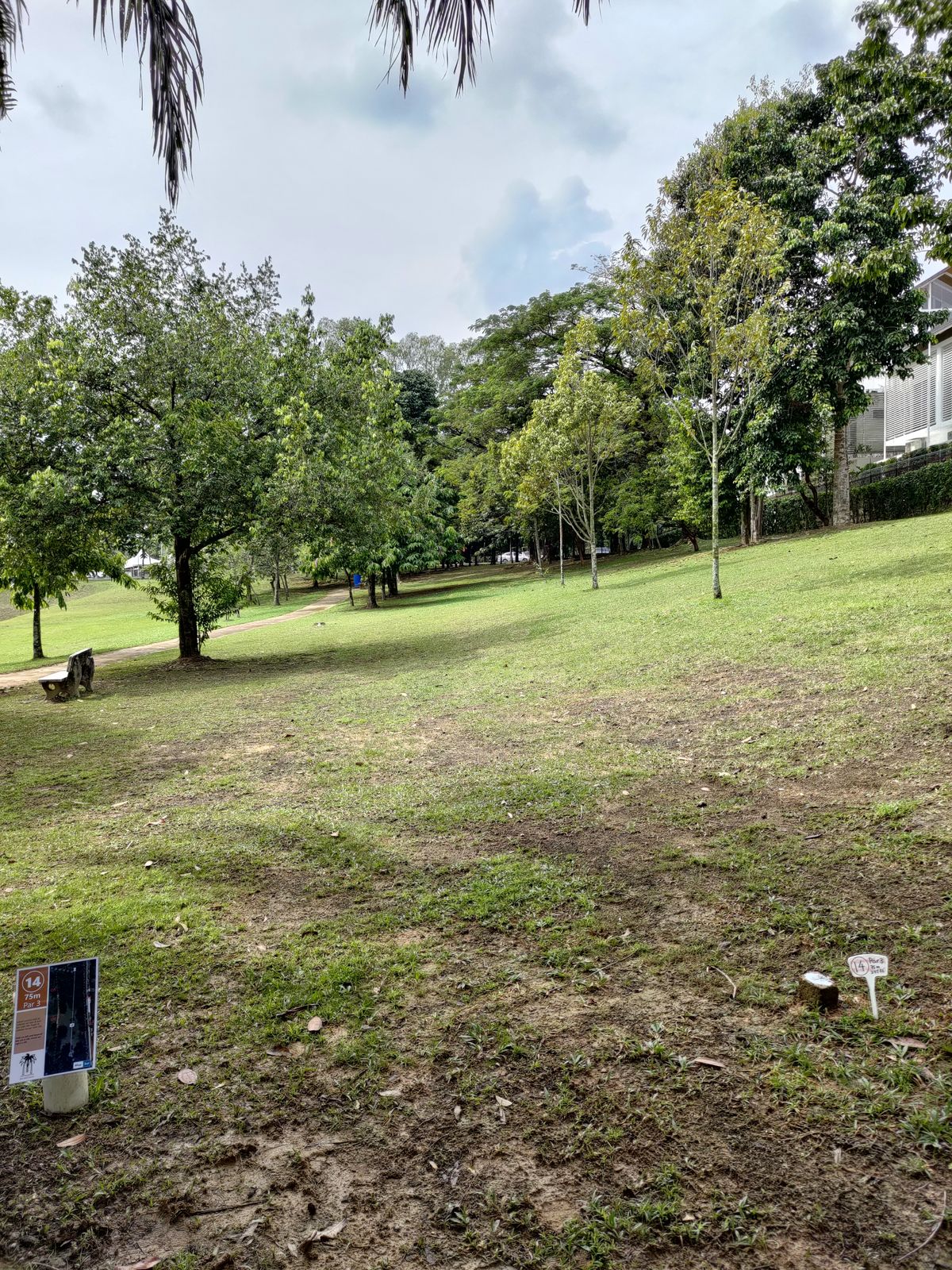 Hole 14 teepad